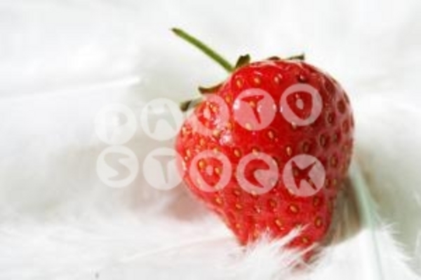 Product picture photo stock website software