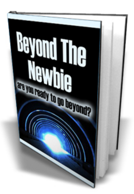 Product picture New Beyond The Newbie With Mrr